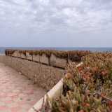 Da qui possiamo andare verso destra o verso sinistra. Scegliamo di continuare a camminare sulla terrazza spostandoci verso il braccio nord del lido e seguendo un corridoio costeggiato da un parapetto su cui sopravvivono delle piante grasse